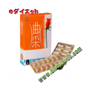 �ȍу_�C�G�b�g�J�v�Z��